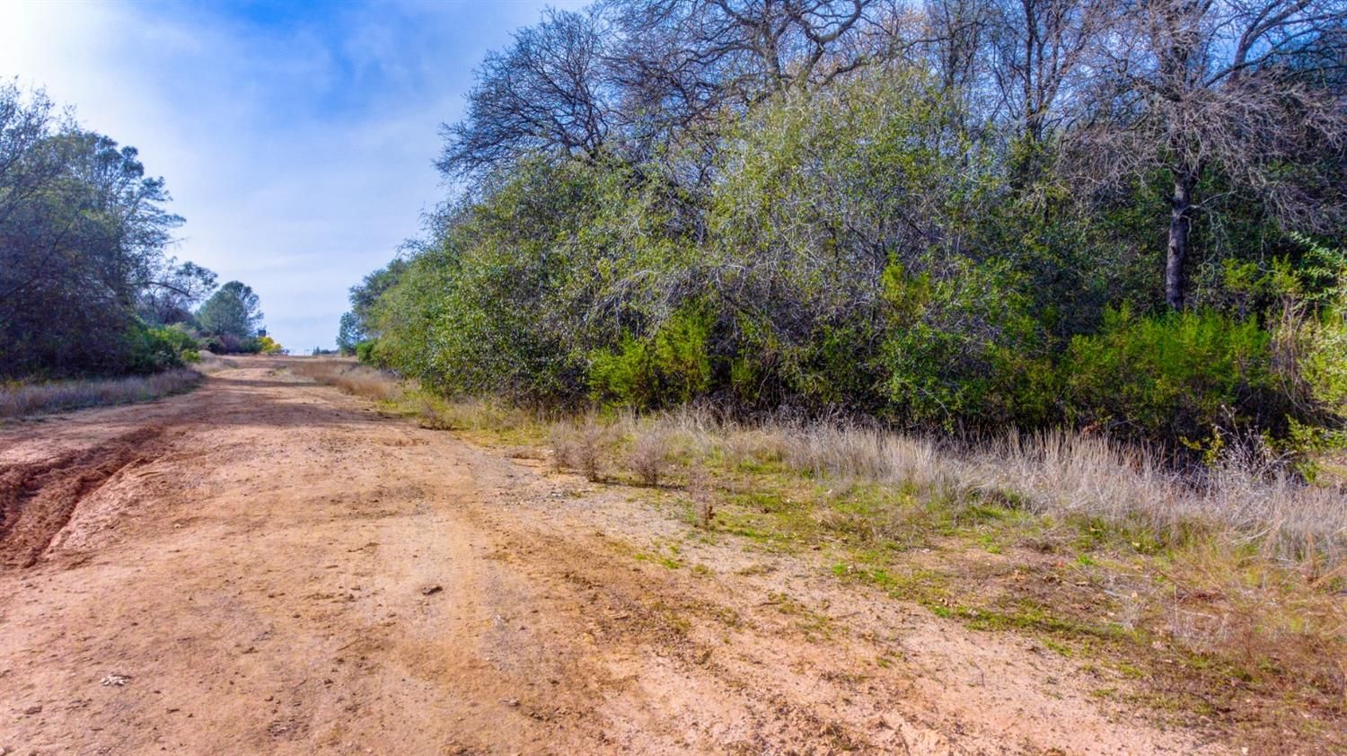 15 Coach Lane, Shingle Springs, CA 95682